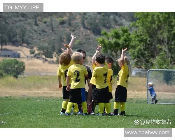 学习足球技巧与培养球星潜力的费用到底有多高